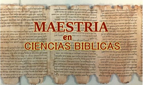 Maestria Mi12509am